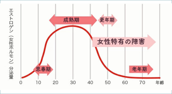 エストロゲンは低下します