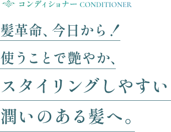 髪革命、今日から！使うことで艶やか、スタイリングしやすい潤いのある髪へ。