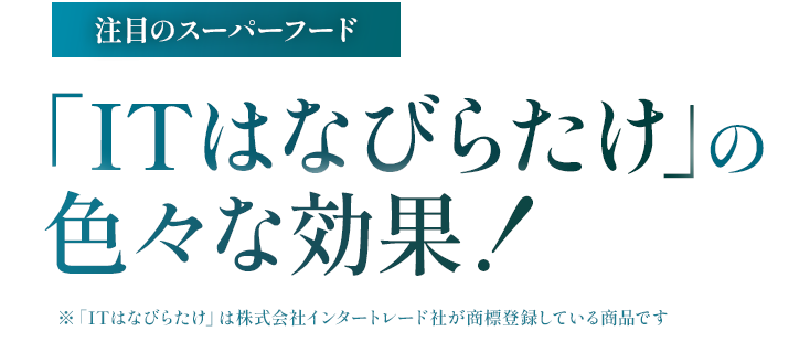 「ITはなびらたけ」の色々な効果!