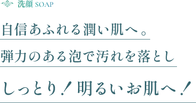 自信あふれる潤い肌へ。弾力のある泡で汚れを落とししっとり！明るいお肌へ！